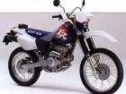 Honda XR 250R